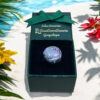 Anillo